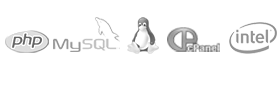 Nuestros servidores son Intel core quad, con Linux, cpanel, soporte mysql y php
